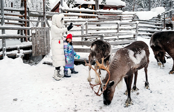俄罗斯北极光之旅、寻找北极光、见极光、摩尔曼斯克 «拉伯兰的农村»-这是现代的旅游综合体、是观察北极光的理想场所。